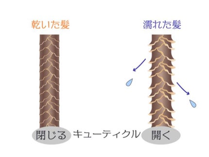 そら on LIPS 「「そもそもドライヤーって必要?」という方は、まずはドライヤーで..」(8枚目)