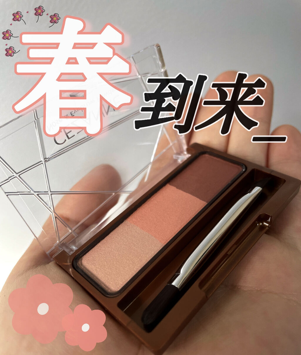 ノーズ＆アイブロウパウダー/CEZANNE/パウダーアイブロウを使ったクチコミ（1枚目）