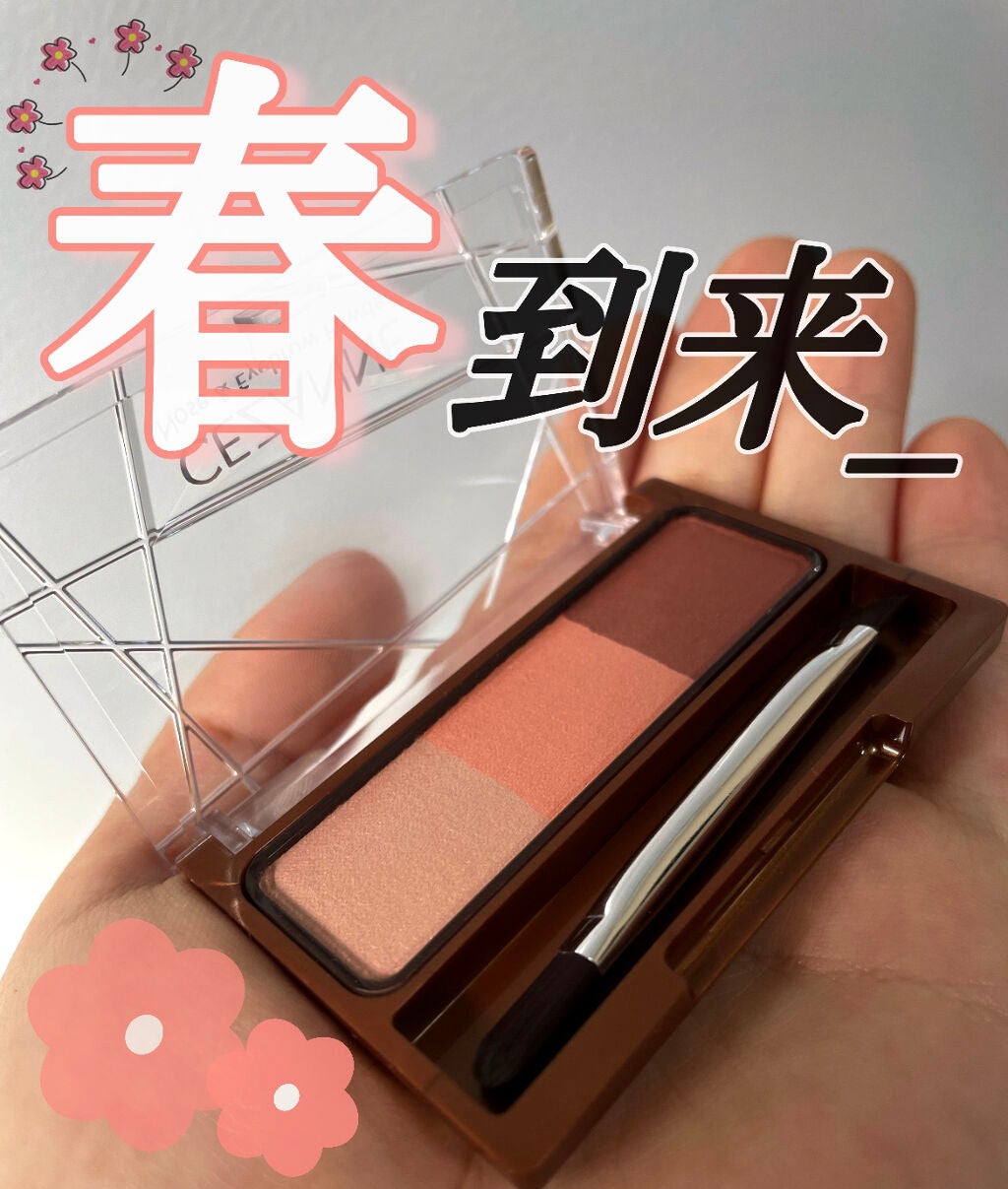 ノーズ&アイブロウパウダー/CEZANNE/パウダーアイブロウを使ったクチコミ(1枚目)