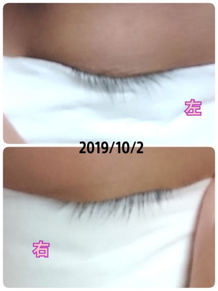 ラッシュジェリードロップ/MAJOLICA MAJORCA/まつげ美容液を使ったクチコミ(3枚目)