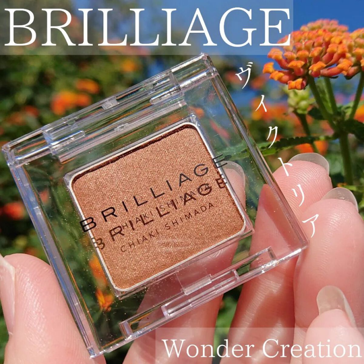 ワンダークリエイション /ブリリアージュ/単色アイシャドウを使ったクチコミ（1枚目）