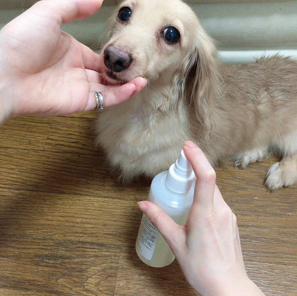 イヴ シャンピニオン/地球と水と命/化粧水を使ったクチコミ（3枚目）