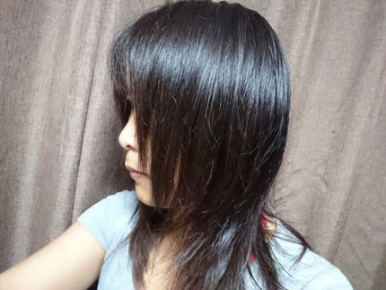 海藻海泥シャンプー/ラサーナ/シャンプー・コンディショナーを使ったクチコミ(4枚目)