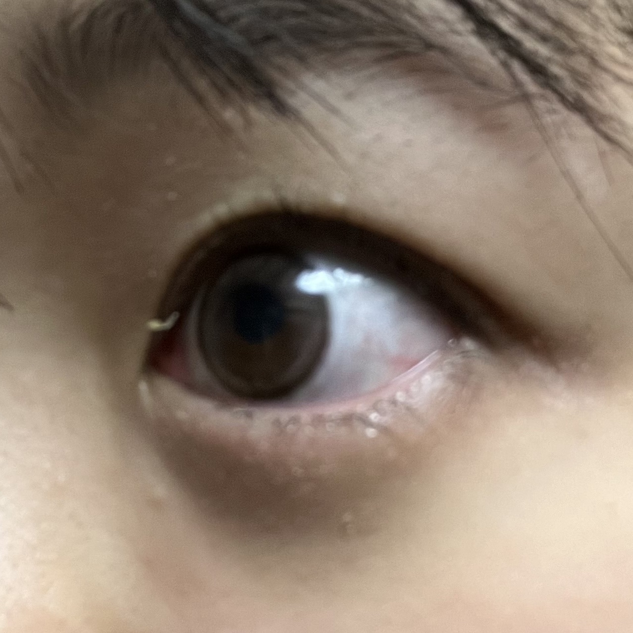 PUUUUCHU/PUUUUCHU/ワンデー（１DAY）カラコンを使ったクチコミ（2枚目）