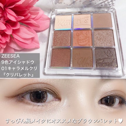 クォーツ 9色アイシャドウパレット(ドリームランドアイシャドウ)/ZEESEA/アイシャドウパレットを使ったクチコミ(1枚目)