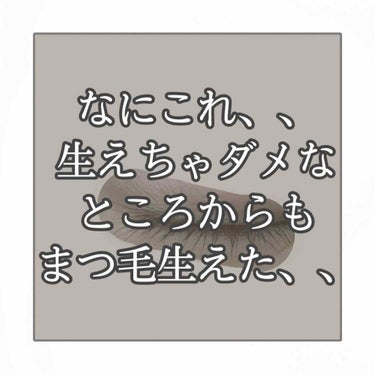 【これはすごい！衝撃画像！まぶたから毛が生える美容液】

なんか怖い書き方しましたが、これは褒めてます！すごいですよこのまつ毛美容液ってことです☺️🤙

画像の通り、まぶたからまつ毛生えました。

今ま