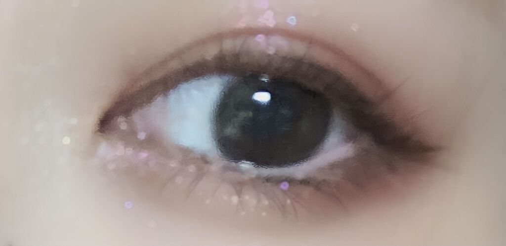 プロ アイ パレット/CLIO/アイシャドウパレットを使ったクチコミ（1枚目）