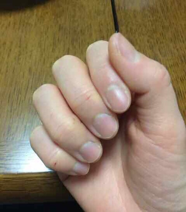 ローズ ベルベットハンド&ネイルクリーム/L'OCCITANE/ハンドクリーム by まみこ 記録用