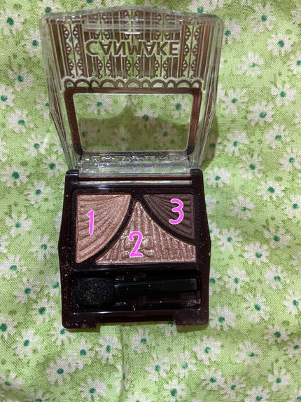 ジューシーピュアアイズ/キャンメイク/アイシャドウパレットを使ったクチコミ(3枚目)