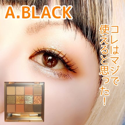 グラムチェンジマルチパレット/A.BLACK/マルチパレットを使ったクチコミ(1枚目)
