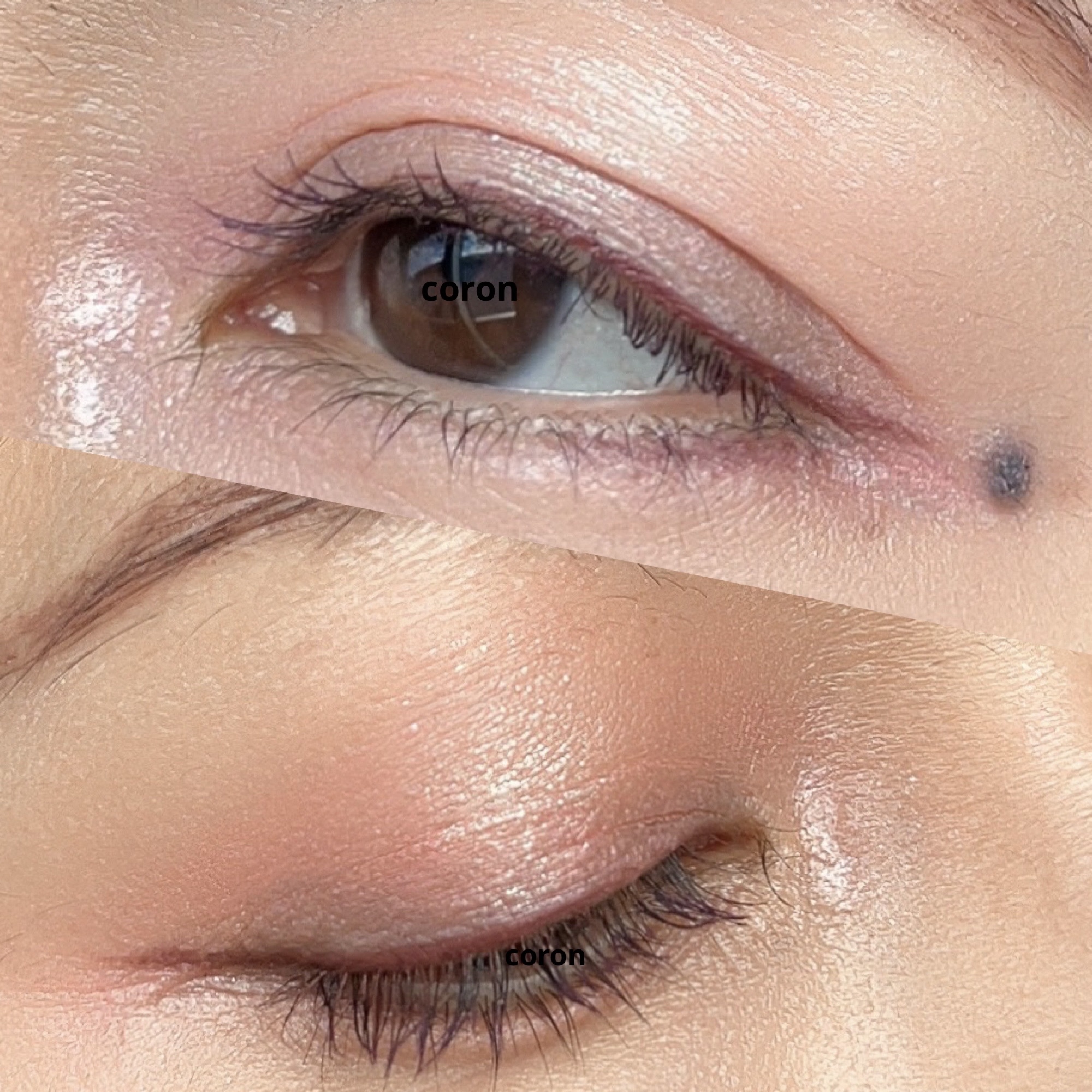 ジルスチュアート ムースブロウマスカラ/JILL STUART/眉マスカラを使ったクチコミ（2枚目）