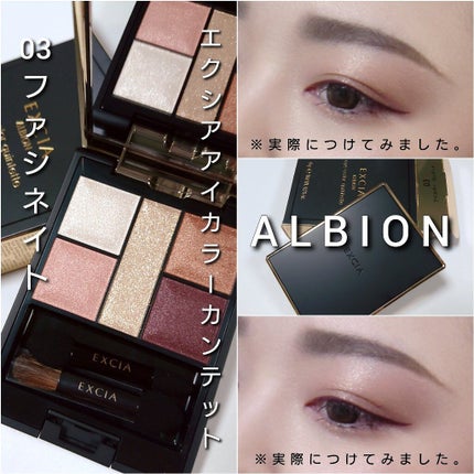クリエイティブ アイカラー/ALBION/アイシャドウパレットを使ったクチコミ(6枚目)