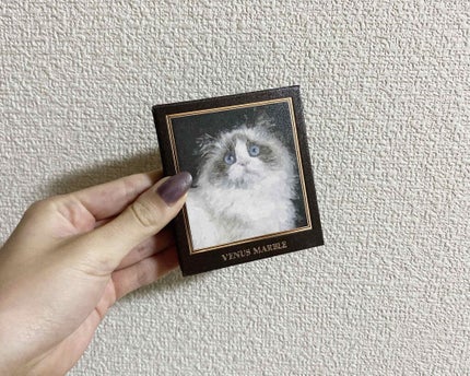 Venus Marble アイシャドウキャットシリーズ/Venus Marble/アイシャドウパレットを使ったクチコミ(1枚目)