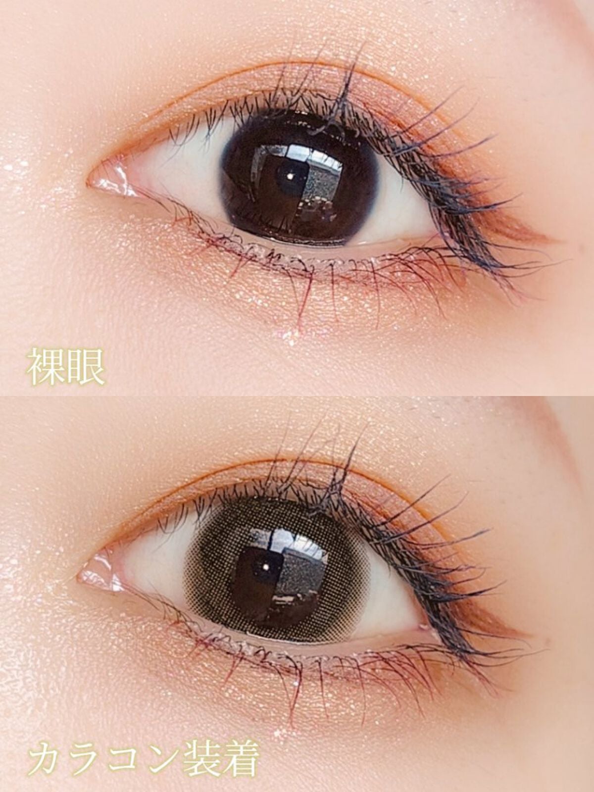 TOPARDS 1day/TOPARDS/ワンデー(1DAY)カラコンを使ったクチコミ(3枚目)