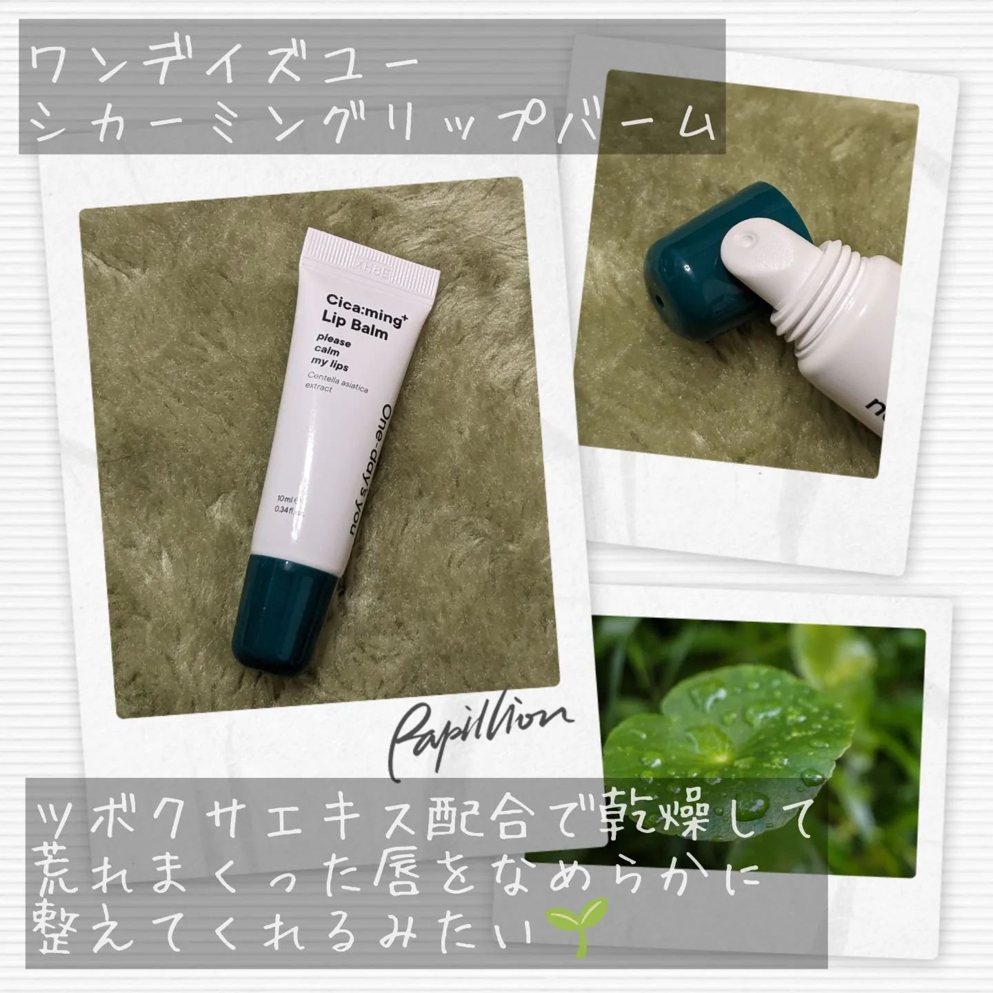シカーミングリップバーム/One-day's you/リップバームを使ったクチコミ（2枚目）
