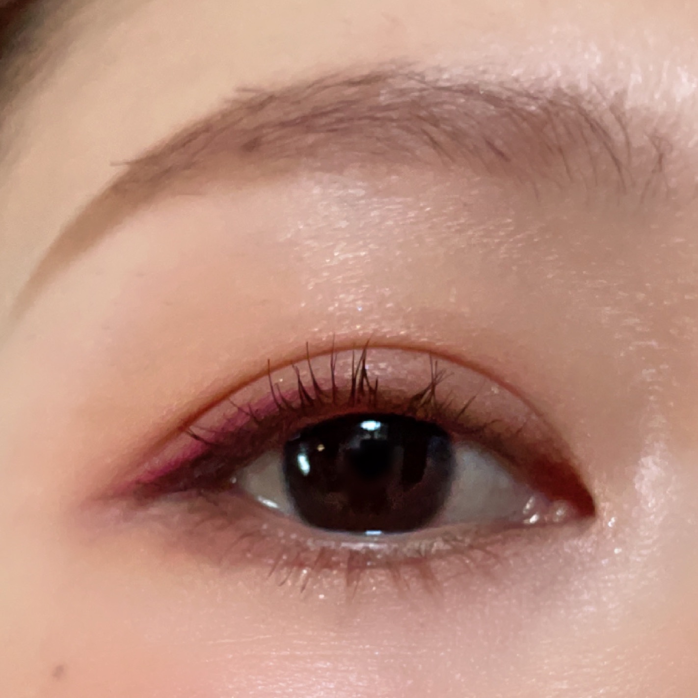 インテレクチュアルリクイドアイライナーN/LUNASOL/リキッドアイライナーを使ったクチコミ（1枚目）