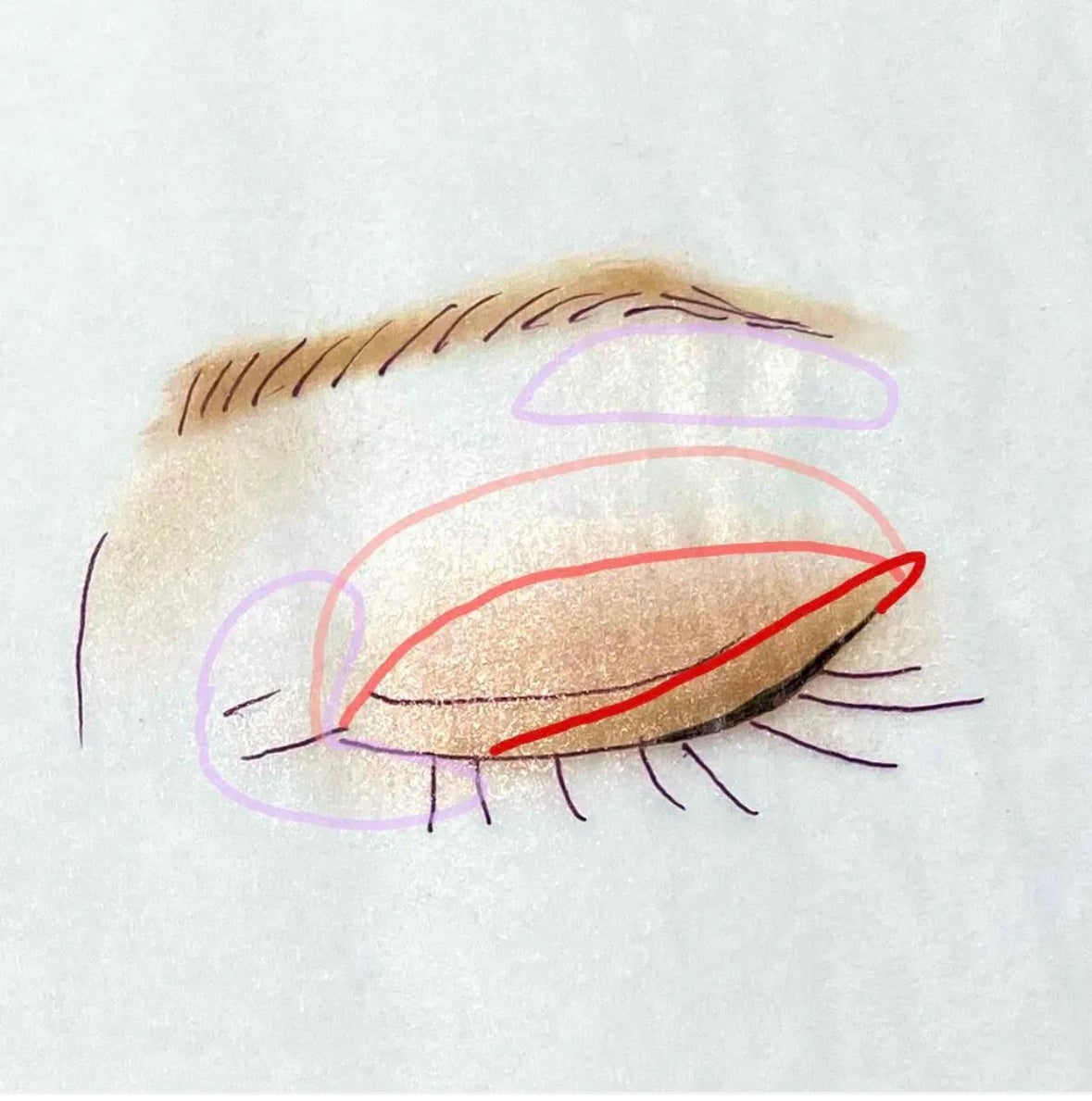 スキニーリッチシャドウ/excel/アイシャドウパレットを使ったクチコミ(2枚目)