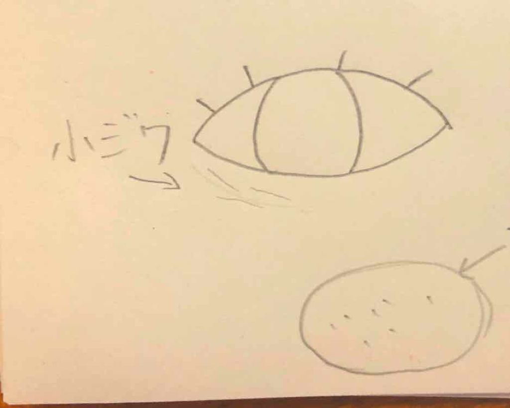 ライスフォース30日セット/ライスフォース/トライアルキットを使ったクチコミ(3枚目)