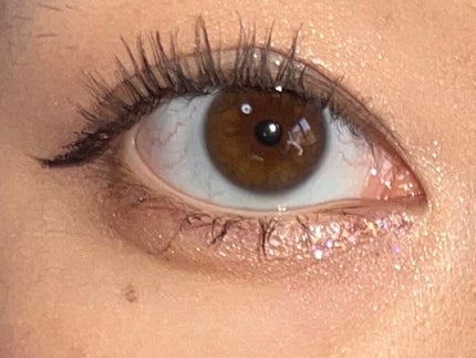 ウォンジョンヨ W デイリームードアップパレット /Wonjungyo/アイシャドウパレットを使ったクチコミ(2枚目)