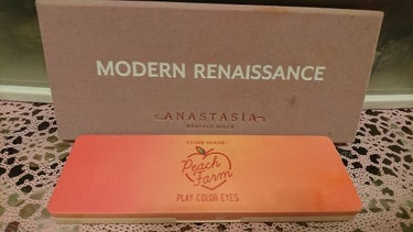 前回はお気に入りの単色アイシャドウだったので今回はパレットアイシャドウで😊

💠ANASTASIA
MODERN RENAISSANCE

発色と色のりがとてもいいです✨
少しの量でかなり色が付くので、