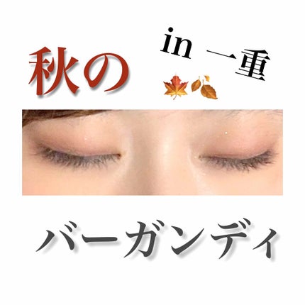 【旧品】パーフェクトスタイリストアイズ/キャンメイク/アイシャドウパレットを使ったクチコミ(1枚目)