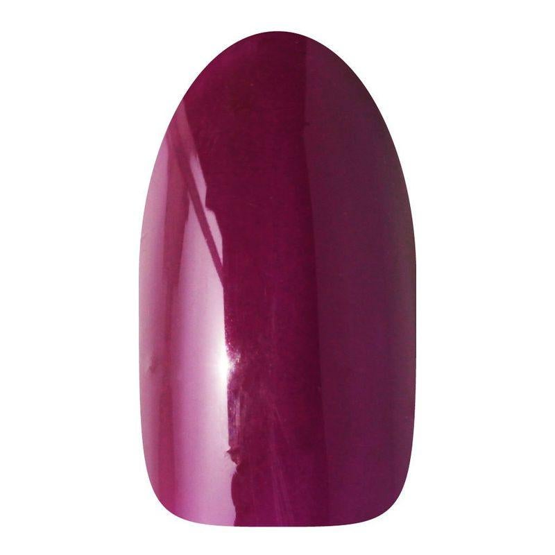 カラージェル 066 山葡萄