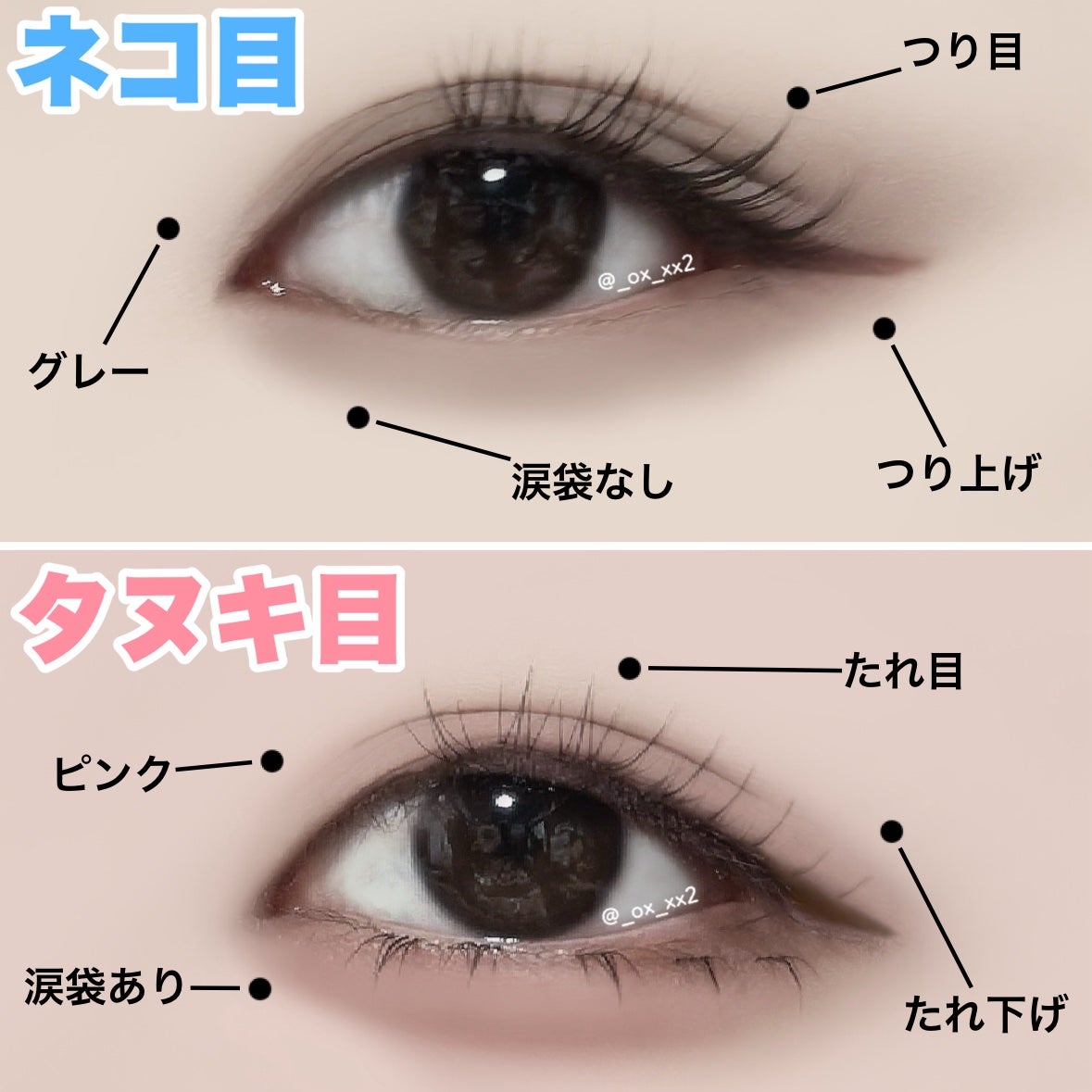 アイラッシュグルー/ミッシュブルーミン/つけまつげを使ったクチコミ(8枚目)