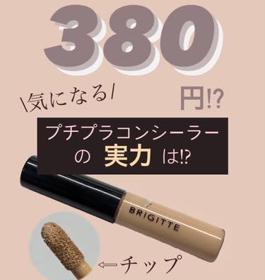 BRIGITTE チップコンシーラーのクチコミ「コンシーラー❕

◯使用コスメ◯
BRIGITTチップコンシーラー

今回はとってもお安いけど.....」（1枚目）