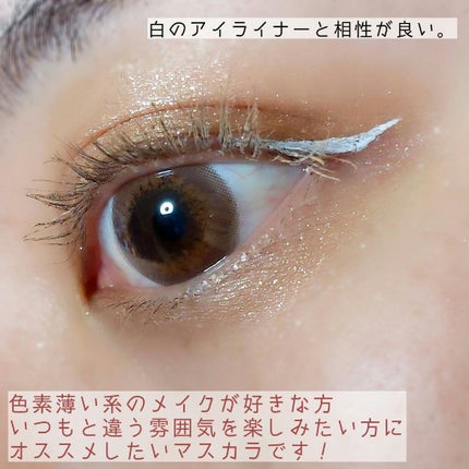 EYE OPENING LINER/UZU BY FLOWFUSHI/リキッドアイライナーを使ったクチコミ(4枚目)