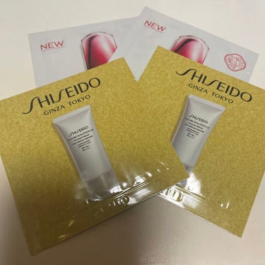 シマージェルグロス 03 Kurumi Beige/SHISEIDO/リップグロスの画像