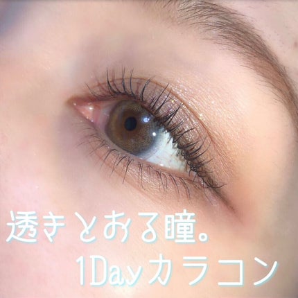 エイリンシリーズ/LENSSIS/カラーコンタクトレンズを使ったクチコミ(1枚目)