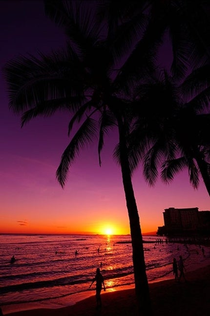 マシュマロホイップ 薬用アクネケア/ビオレ/泡洗顔を使ったクチコミ(1枚目)