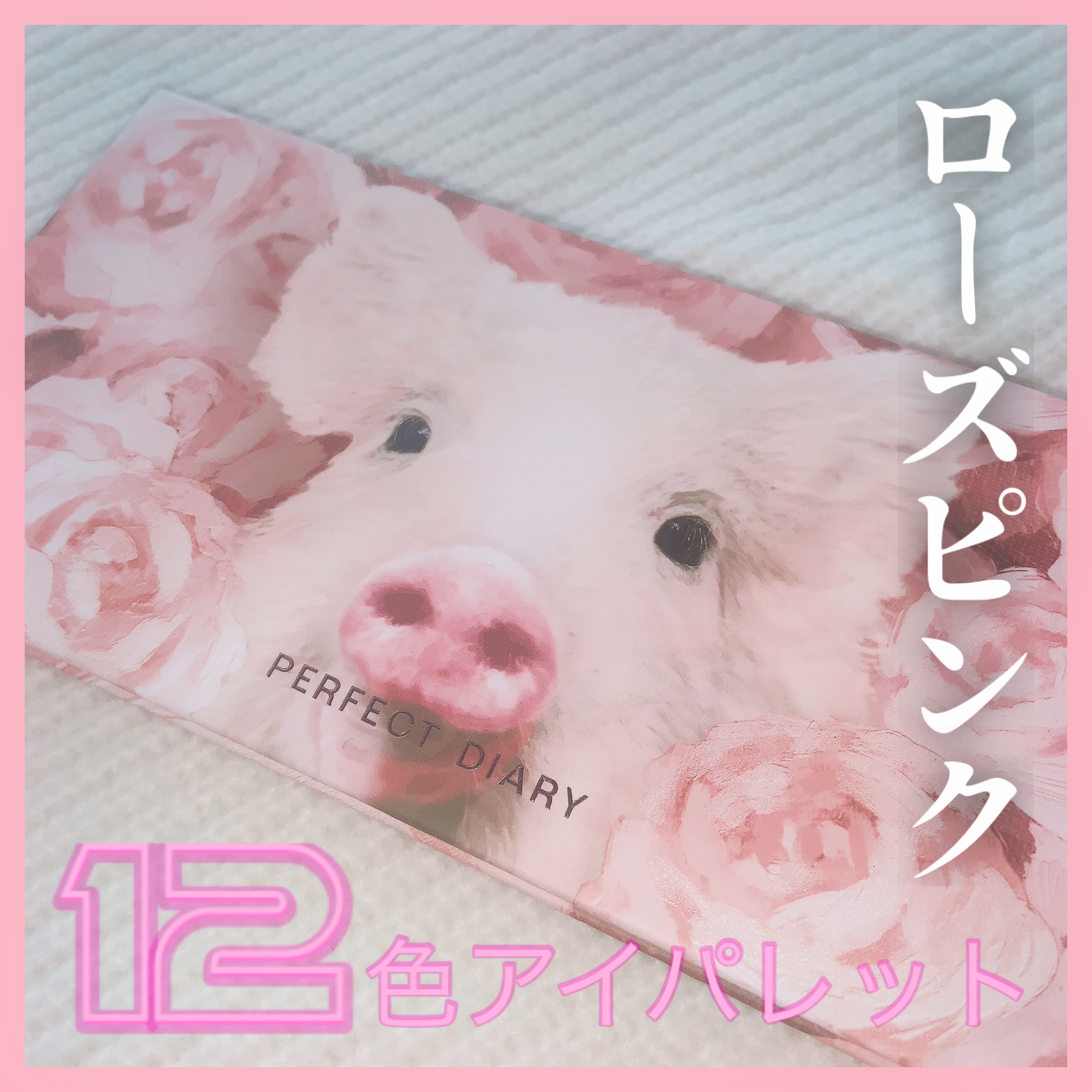 エクスプローラ12色 動物アイシャドウパレット/PERFECT DIARY/アイシャドウパレットを使ったクチコミ（1枚目）