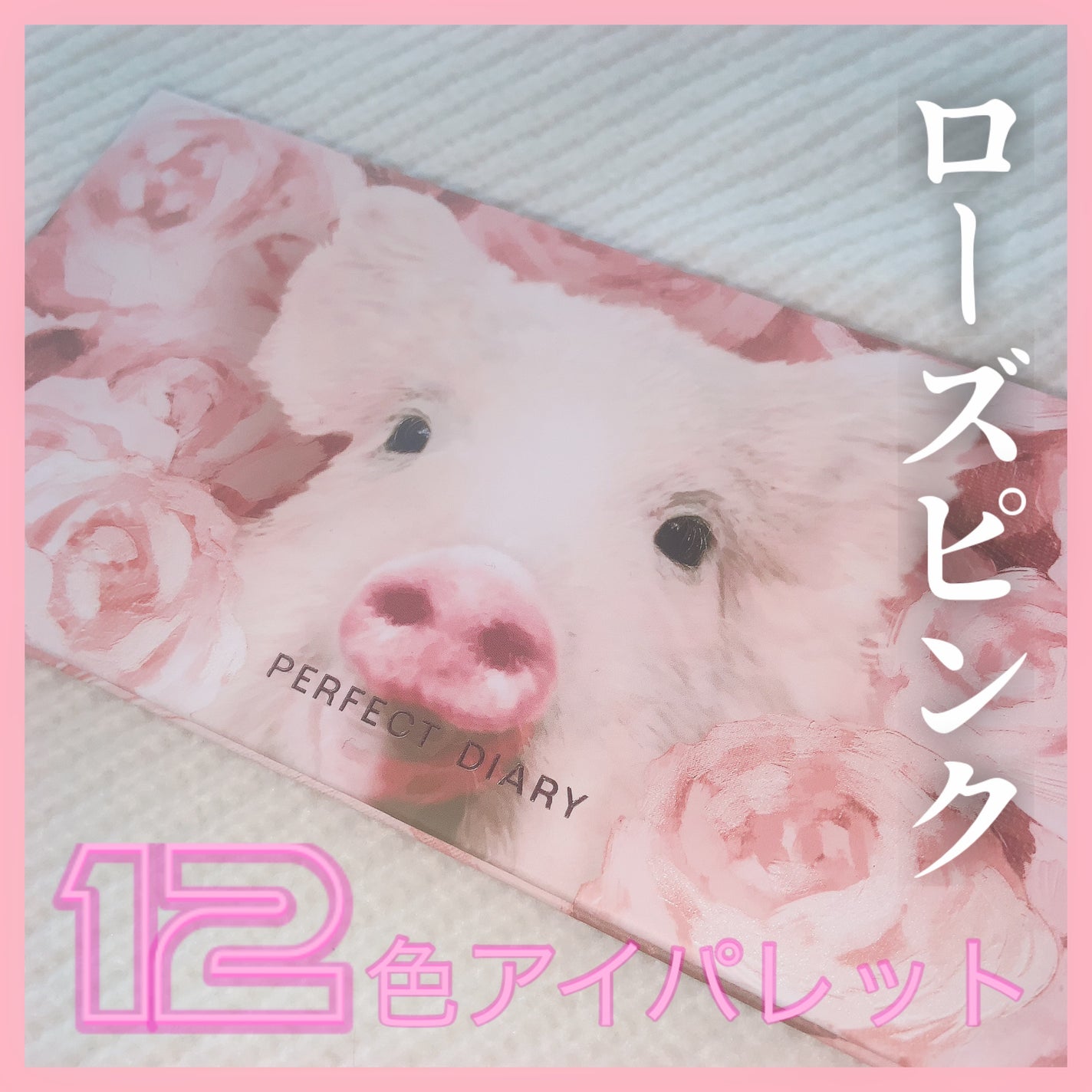 エクスプローラ12色 動物アイシャドウパレット/PERFECT DIARY/アイシャドウパレットを使ったクチコミ(1枚目)