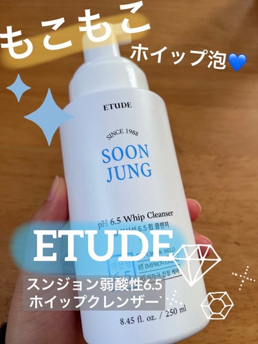 スンジョン ホイップクレンザー/ETUDE/泡洗顔を使ったクチコミ（1枚目）