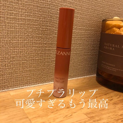 ウォータリーティントリップ マット/CEZANNE/リップティントを使ったクチコミ(1枚目)