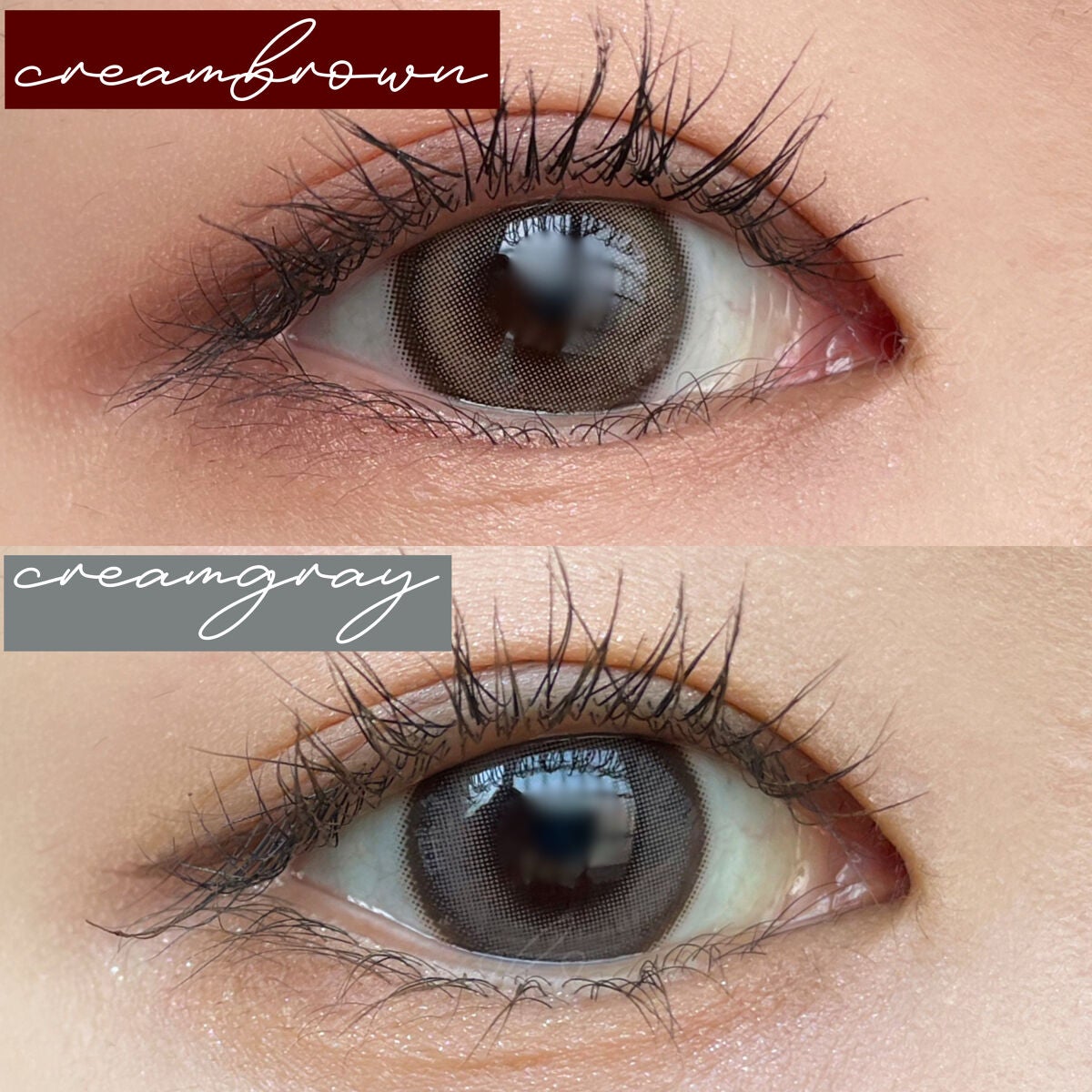 chuuLENS Milk&Tea 1day/chuu LENS/ワンデー(1DAY)カラコンを使ったクチコミ(5枚目)