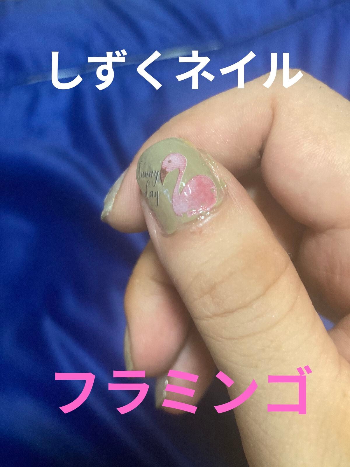 ネイル エナメル/ちふれ/マニキュアを使ったクチコミ(1枚目)