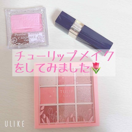 【旧品】パウダーチークス/キャンメイク/パウダーチークを使ったクチコミ(1枚目)