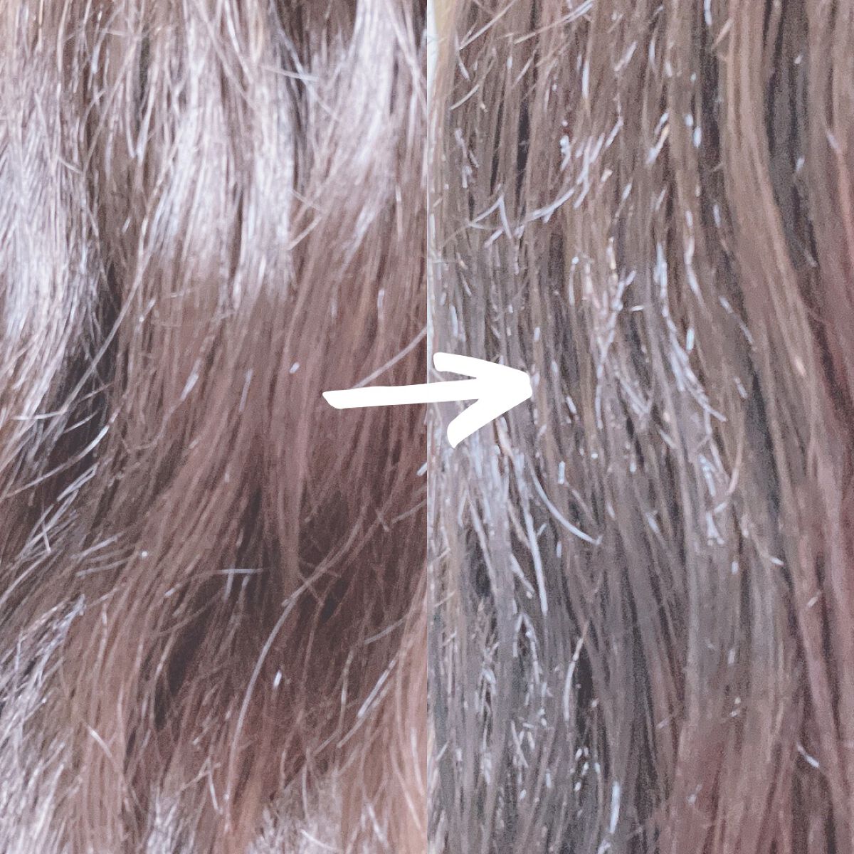 プルント ディープリペア美容液ヘアオイル/Purunt./ヘアオイルを使ったクチコミ(3枚目)