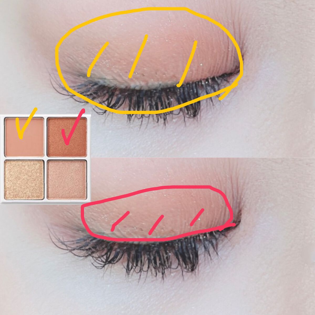 THE アイパレR/b idol/アイシャドウパレットを使ったクチコミ(2枚目)