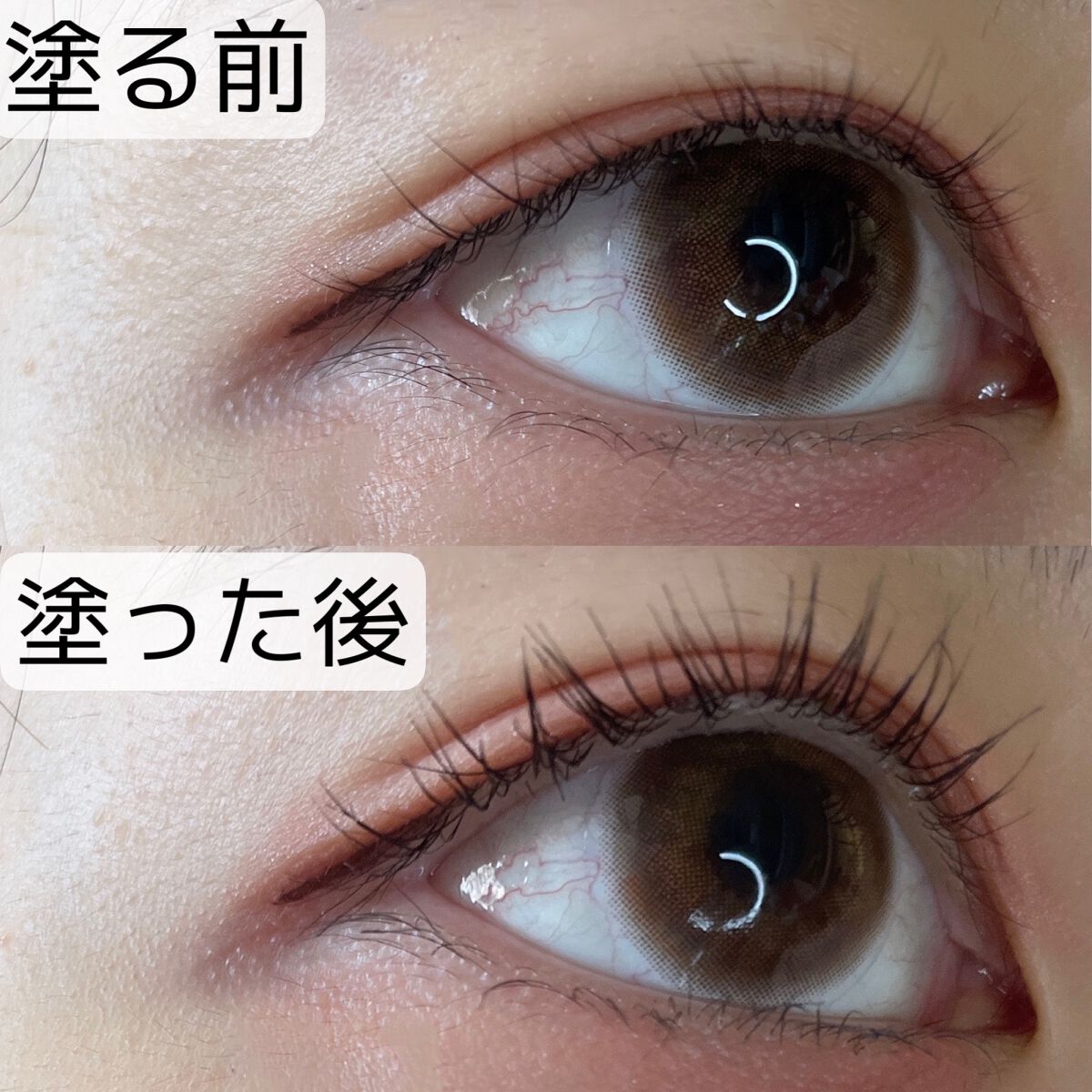 「塗るつけまつげ」自まつげ際立てタイプ/デジャヴュ/マスカラを使ったクチコミ(2枚目)