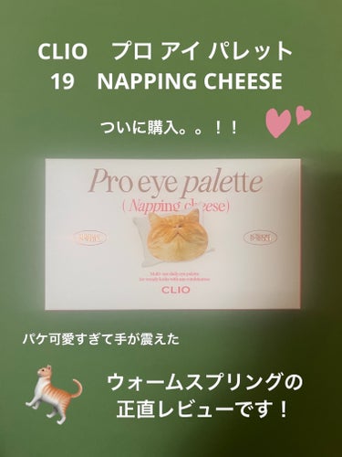 プロ アイ パレット 19 NAPPING CHEESE/CLIO/アイシャドウパレットを使ったクチコミ（1枚目）