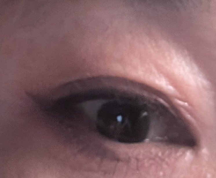 ジューシーピュアアイズ/キャンメイク/アイシャドウパレットを使ったクチコミ（2枚目）