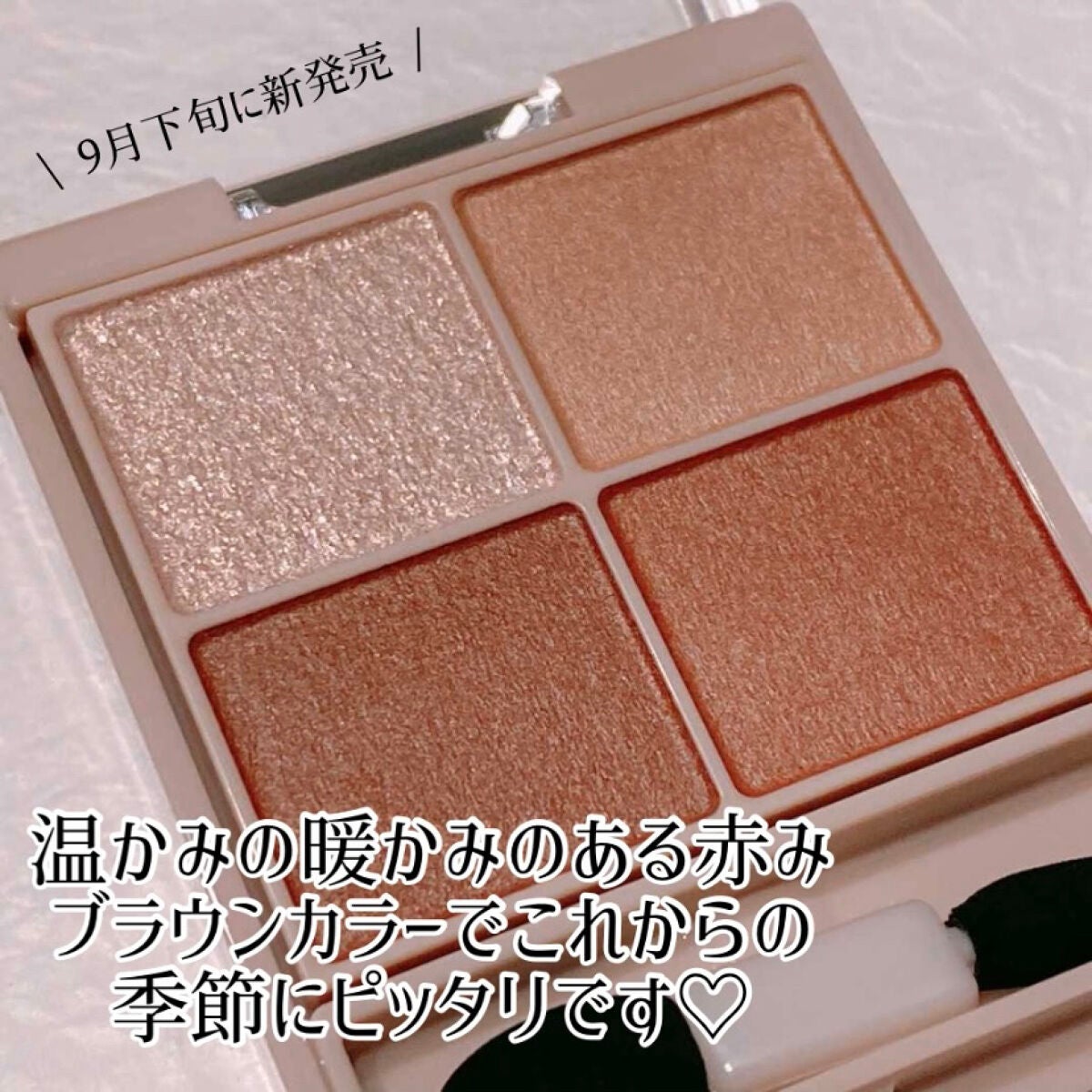 シルキースフレアイズ(マットタイプ)/キャンメイク/アイシャドウパレットを使ったクチコミ(2枚目)