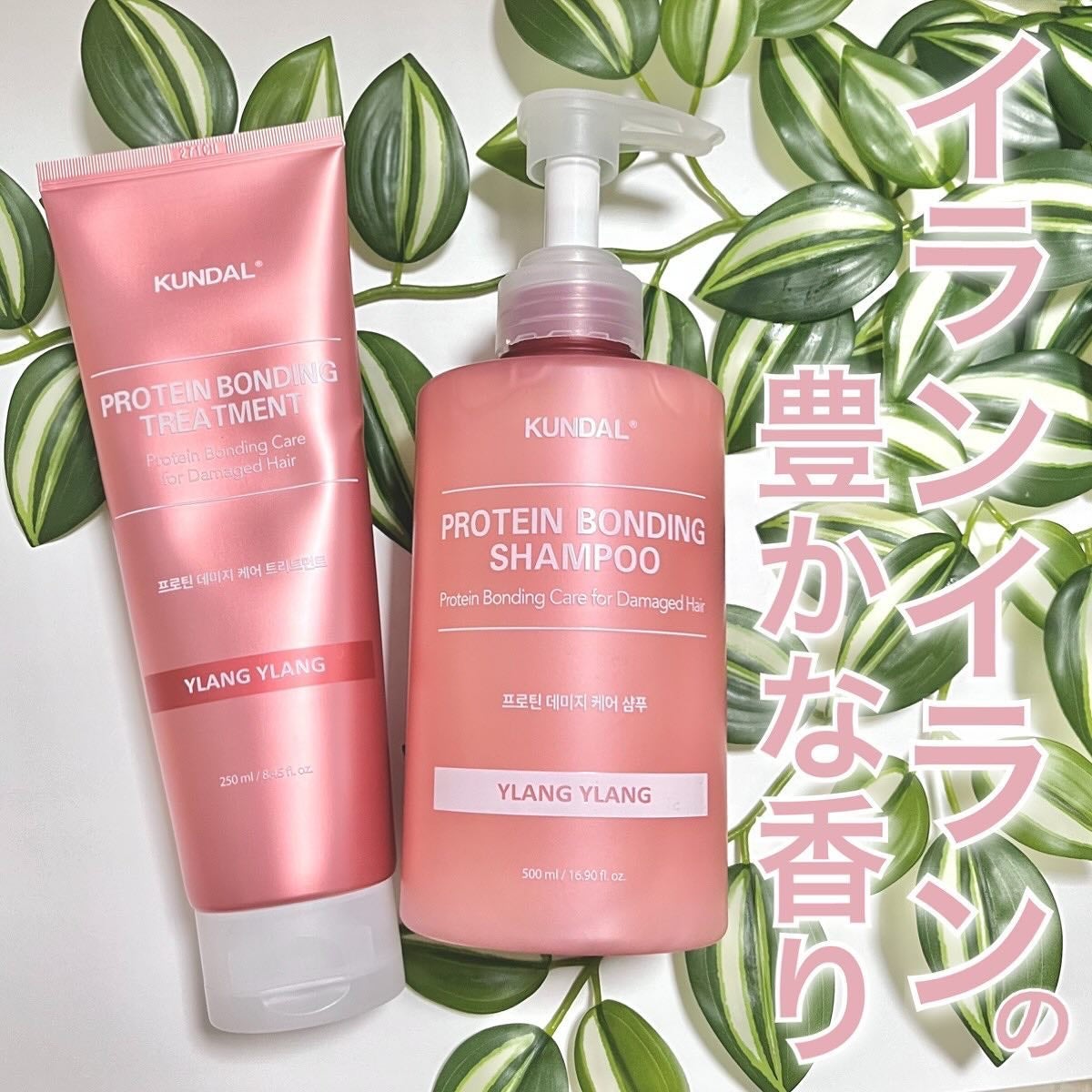 クンダル ダメージケア シャンプー/トリートメント/KUNDAL/市販シャンプーを使ったクチコミ(5枚目)