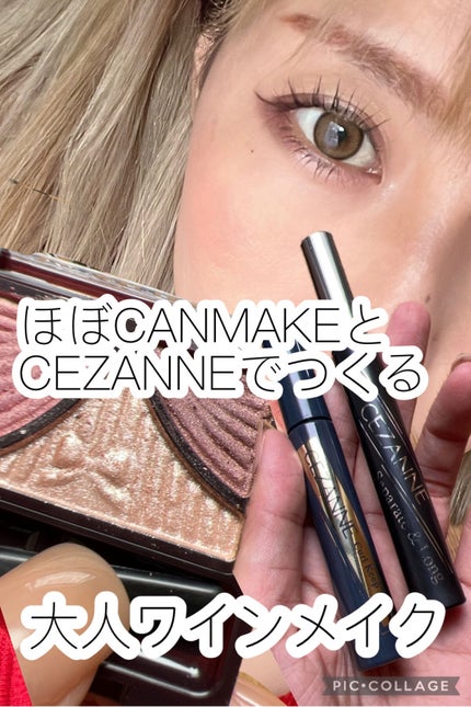 ノーズ&アイブロウパウダー/CEZANNE/パウダーアイブロウを使ったクチコミ(1枚目)