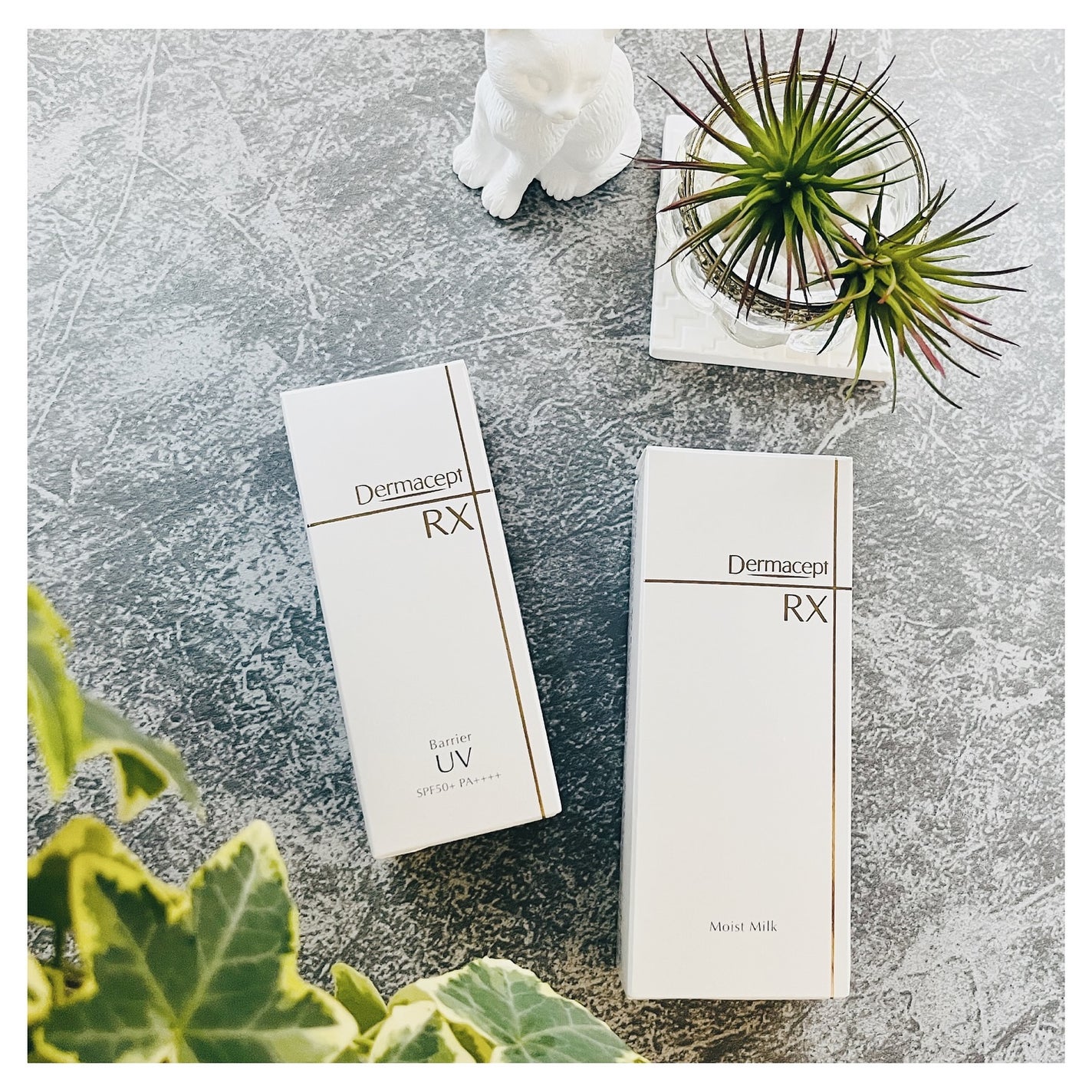 モイストミルク/ダーマセプトRX/乳液を使ったクチコミ(10枚目)