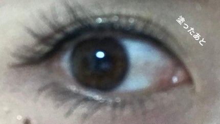 ベター ザン セックス マスカラ ドール ラッシュ/Too Faced/マスカラを使ったクチコミ(5枚目)