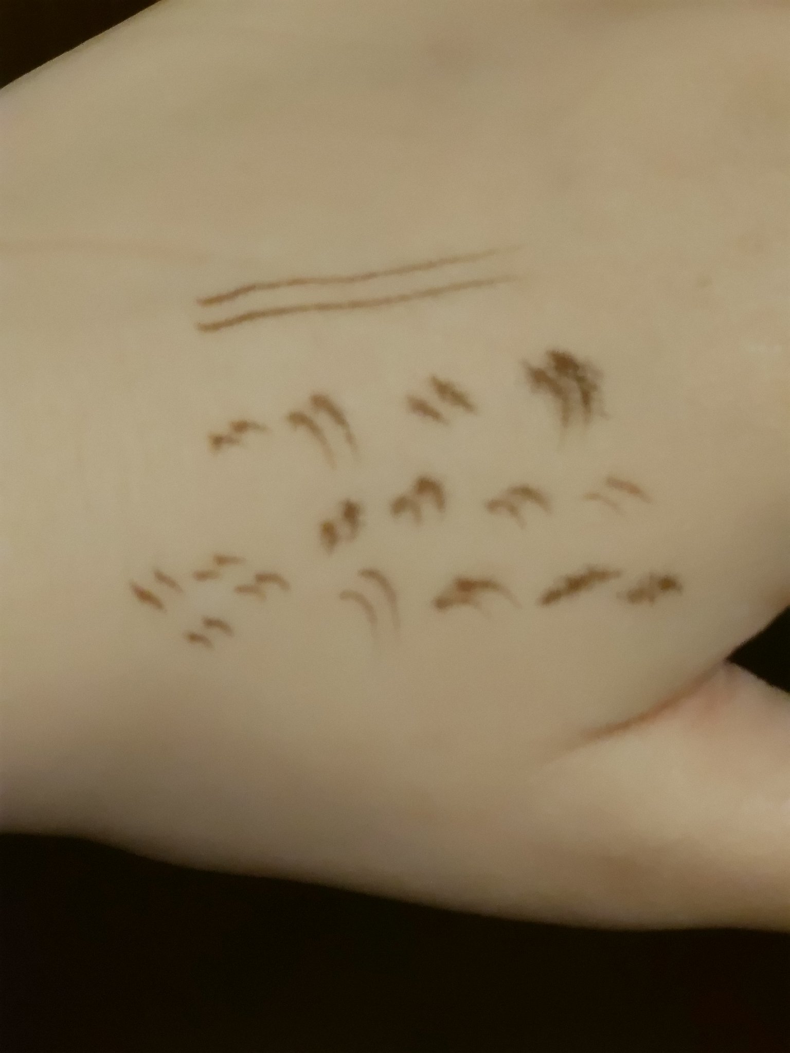 下まつげ二股ライナー #TT07 はったりブラウン/tomei/リキッドアイライナーを使ったクチコミ（3枚目）